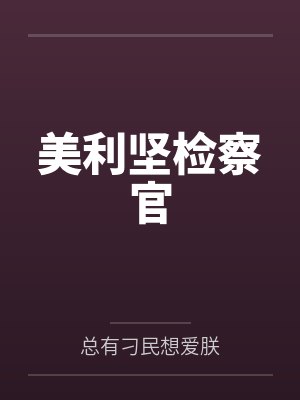 美利坚检察官